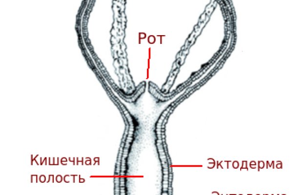 Кракен даркнет войти