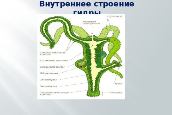 Kraken cc зеркало kr2web in